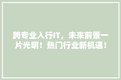 跨专业入行IT，未来前景一片光明！热门行业新机遇！ 必应SEO