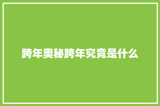 跨年奥秘跨年究竟是什么 必应SEO