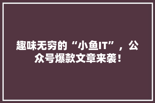 趣味无穷的“小鱼IT”，公众号爆款文章来袭！ 网站建设公司