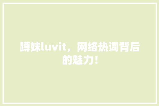 蹲妹luvit，网络热词背后的魅力！ 神马SEO