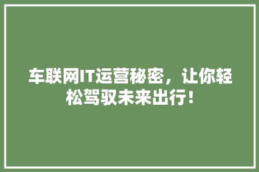 车联网IT运营秘密，让你轻松驾驭未来出行！ 百度SEO