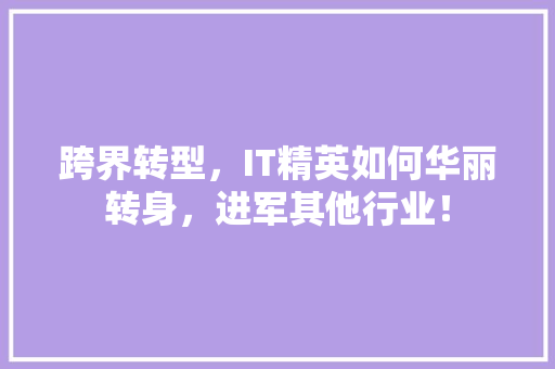 跨界转型，IT精英如何华丽转身，进军其他行业！ 网站建设公司