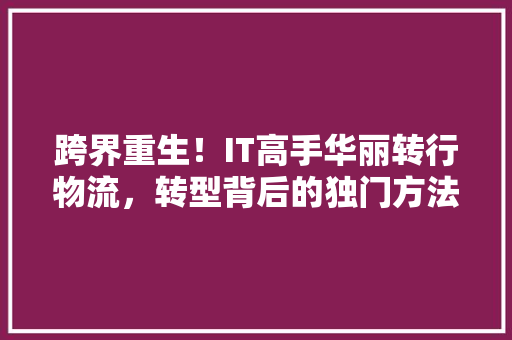 跨界重生！IT高手华丽转行物流，转型背后的独门方法！ 神马SEO
