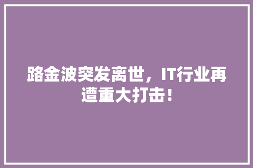路金波突发离世，IT行业再遭重大打击！ SEO关键词