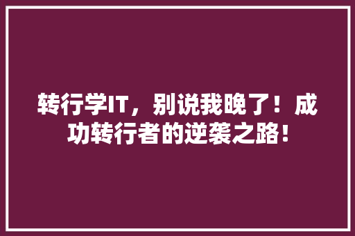 转行学IT，别说我晚了！成功转行者的逆袭之路！ 神马SEO