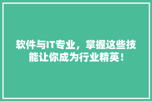 软件与IT专业，掌握这些技能让你成为行业精英！ SEO关键词