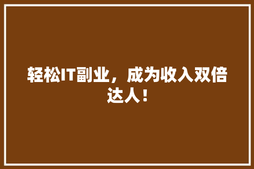 轻松IT副业，成为收入双倍达人！ 百度SEO