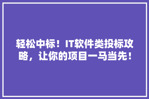 轻松中标！IT软件类投标攻略，让你的项目一马当先！ 神马SEO