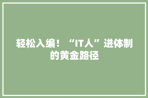 轻松入编！“IT人”进体制的黄金路径 必应SEO