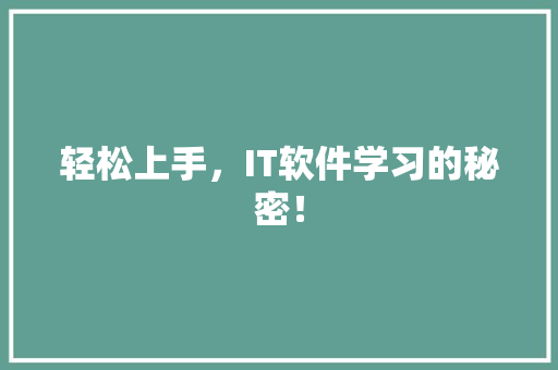 轻松上手，IT软件学习的秘密！ SEO关键词