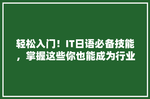 轻松入门！IT日语必备技能，掌握这些你也能成为行业高手！ 神马SEO
