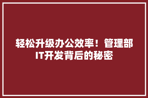 轻松升级办公效率！管理部IT开发背后的秘密 神马SEO
