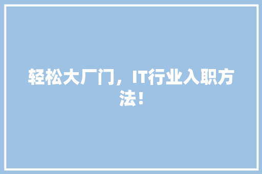 轻松大厂门，IT行业入职方法！ 必应SEO