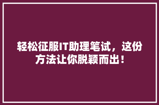 轻松征服IT助理笔试，这份方法让你脱颖而出！ SEO关键词