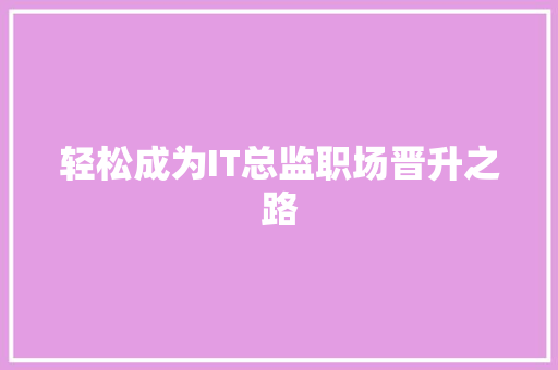 轻松成为IT总监职场晋升之路 网站建设公司