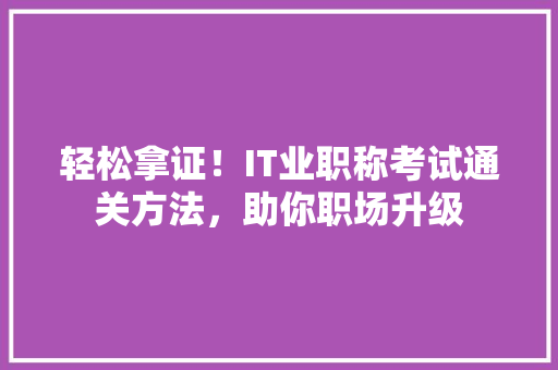轻松拿证！IT业职称考试通关方法，助你职场升级 百度SEO