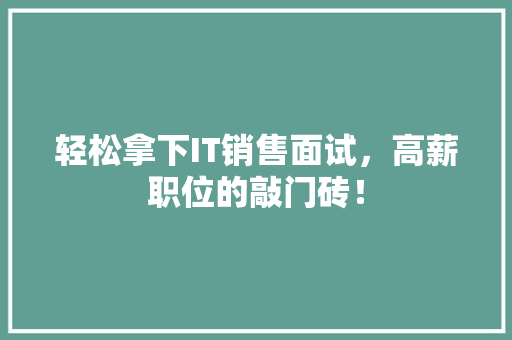 轻松拿下IT销售面试，高薪职位的敲门砖！ 百度SEO
