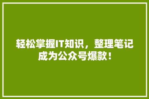 轻松掌握IT知识，整理笔记成为公众号爆款！ SEO关键词