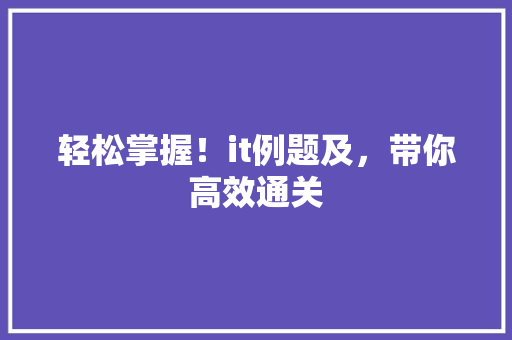 轻松掌握！it例题及，带你高效通关 网站建设公司