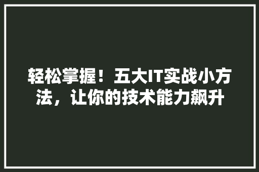 轻松掌握！五大IT实战小方法，让你的技术能力飙升 网站建设公司