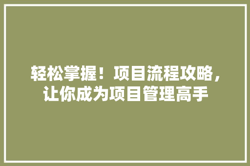 轻松掌握！项目流程攻略，让你成为项目管理高手 百度SEO
