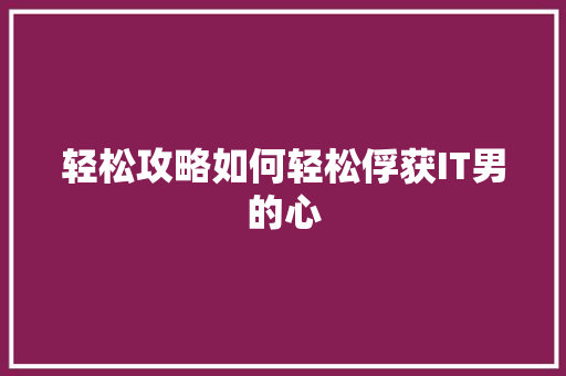 轻松攻略如何轻松俘获IT男的心 SEO关键词