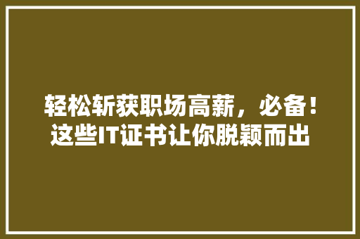 轻松斩获职场高薪，必备！这些IT证书让你脱颖而出 必应SEO