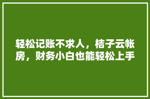 轻松记账不求人，桔子云帐房，财务小白也能轻松上手的记账神器！ SEO关键词