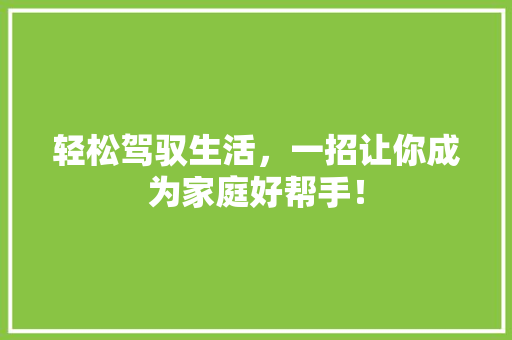 轻松驾驭生活，一招让你成为家庭好帮手！ SEO关键词