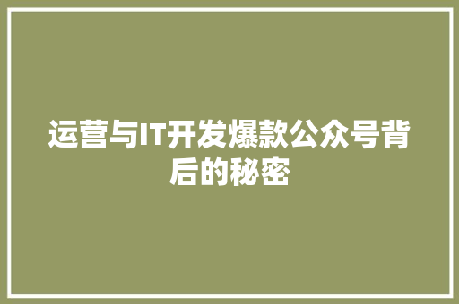 运营与IT开发爆款公众号背后的秘密 必应SEO