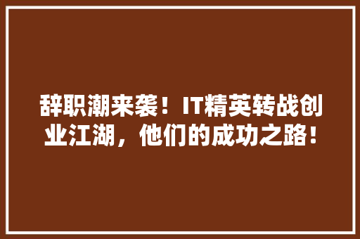 辞职潮来袭！IT精英转战创业江湖，他们的成功之路！ 神马SEO