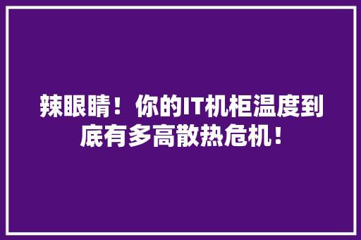 辣眼睛！你的IT机柜温度到底有多高散热危机！