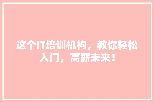 这个IT培训机构，教你轻松入门，高薪未来！ SEO关键词