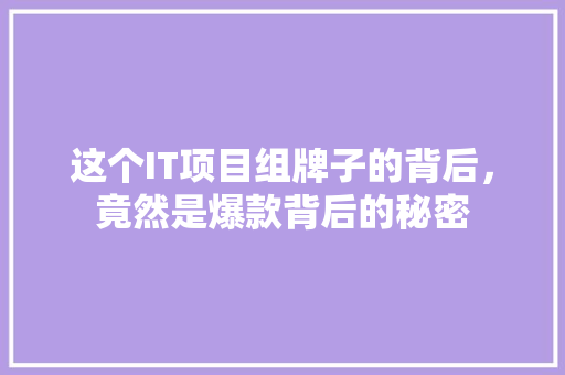 这个IT项目组牌子的背后，竟然是爆款背后的秘密 神马SEO