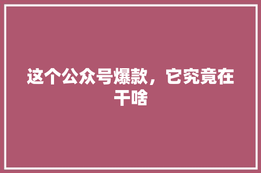 这个公众号爆款，它究竟在干啥 必应SEO