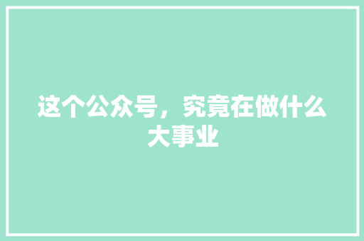 这个公众号，究竟在做什么大事业 必应SEO