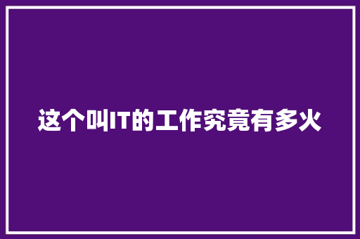 这个叫IT的工作究竟有多火 必应SEO