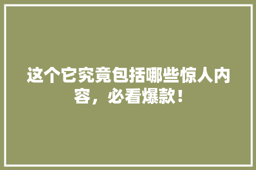 这个它究竟包括哪些惊人内容，必看爆款！ SEO关键词