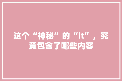 这个“神秘”的“it”，究竟包含了哪些内容 网站建设公司