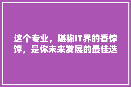 这个专业，堪称IT界的香饽饽，是你未来发展的最佳选择！ SEO关键词
