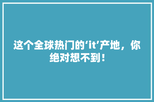 这个全球热门的‘it’产地，你绝对想不到！ 百度SEO