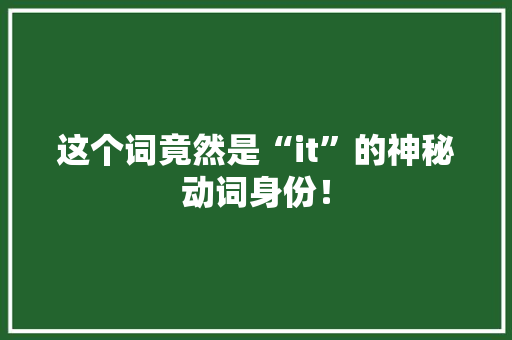 这个词竟然是“it”的神秘动词身份！ 网站建设公司