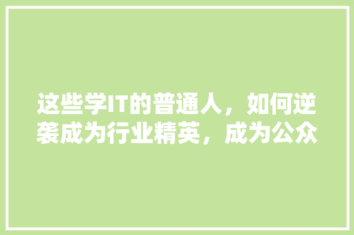这些学IT的普通人，如何逆袭成为行业精英，成为公众号爆款！ 神马SEO