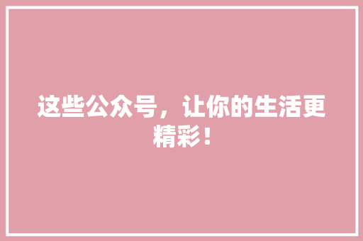 这些公众号，让你的生活更精彩！ 百度SEO