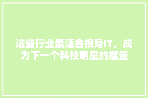 这些行业最适合投身IT，成为下一个科技明星的摇篮 神马SEO