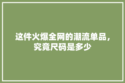 这件火爆全网的潮流单品，究竟尺码是多少 网站建设公司