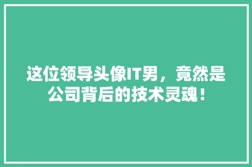 这位领导头像IT男，竟然是公司背后的技术灵魂！ 百度SEO