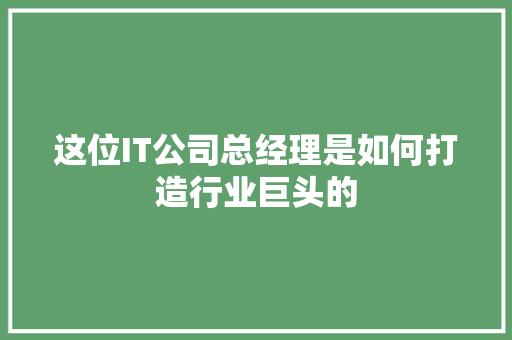 这位IT公司总经理是如何打造行业巨头的 SEO关键词