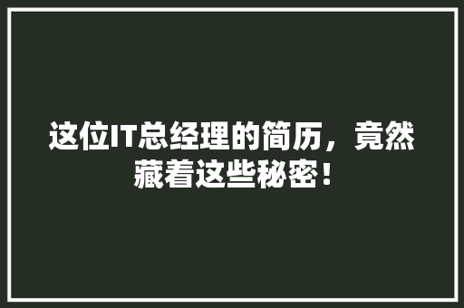这位IT总经理的简历，竟然藏着这些秘密！ SEO关键词