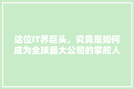 这位IT界巨头，究竟是如何成为全球最大公司的掌舵人 SEO关键词